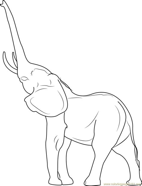 indian elephant coloring pages printable  getcoloringscom