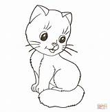 Coloring Kitten Outline Pages Cats Popular sketch template