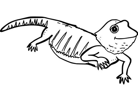 easy bearded dragon coloring page  printable coloring pages  kids