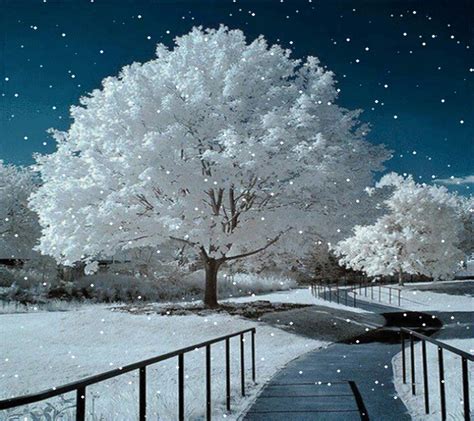 snow wallpapers  psd vector eps