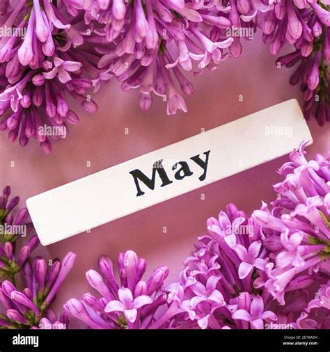 calendar month   res stock photography  images alamy