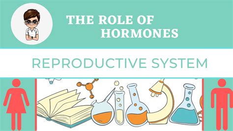 Role Of Hormones In Reproductive System L Grade 10 Science L 3rd