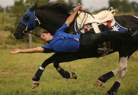 trick riding omgiwannaiwannaiwanna    paarden sport