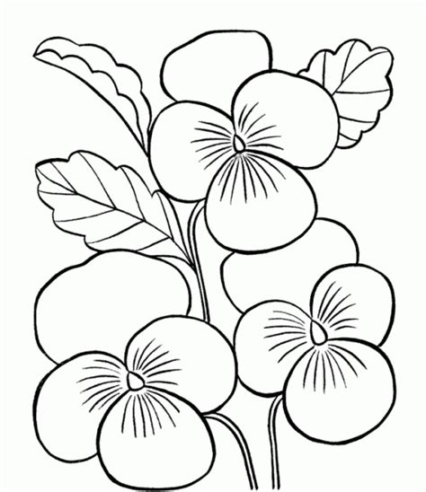 flower coloring pages printable printable flower coloring pages