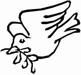 Dove Coloring Line Drawing Clipart Clip Pages Cliparts Peace Jesus Doves School Drawings Template Liverpool Dovecote Primary Clipartbest Az Library sketch template