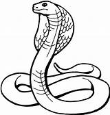 Snake Garter Snakes Drawn Hand Getdrawings Drawing Coloring Pages sketch template