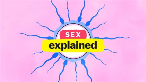 sex explained