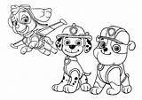 Patrol Paw Marshall Coloring Drawing sketch template
