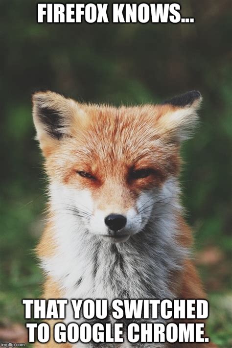 fox staring imgflip