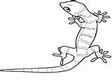 Coloring Pages Lizard Anole Gecko Cute Lizards Realistic Pj Masks Brilliant Futurama Gekko Template Coloringbay Getdrawings Albanysinsanity sketch template