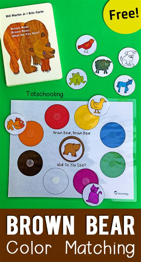 brown bear color matching printable  toddlers totschooling