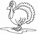 Turkey Coloring Pages Coloringpages1001 Gif sketch template