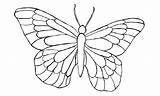 Motyl Kolorowanka Motyle Wydruku Motylki Kolorowanki Dla Druku Motyla Szablon Pobrania Rysunki Wydrukowania Wzory Kolorowe Zwierząt sketch template