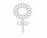 Coloring Sunflower Pages Simple Print sketch template