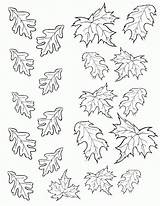 Coloring Leaves Printable Pages Leaf Popular sketch template