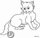 Domestic Animals Coloring Pages Kids Drawing Pitara Cat Network Getdrawings sketch template