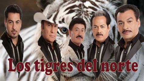 Los Tigres Del Norte Corridos Youtube