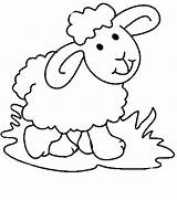Coloring Pages Lamb Baby Getdrawings sketch template