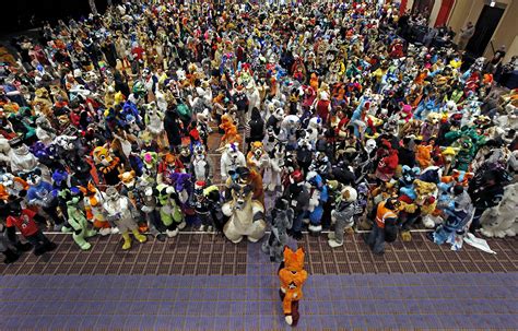 Midwest Furfest 2015 More Than 5 000 Gather In Chicago