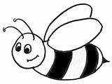 Biene Malvorlage Bienen Zeichenvorlage Vorlage Lustige Schmetterlinge Weitere Ari sketch template
