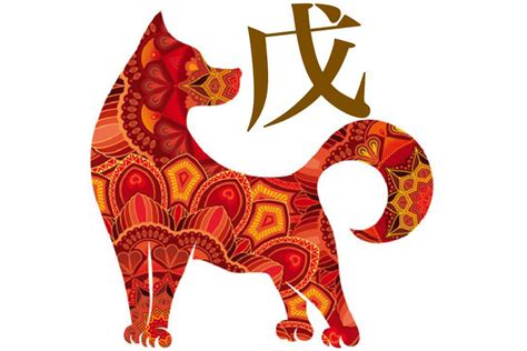 chinese astrology earth dog astrology zodiac  zodiac signs