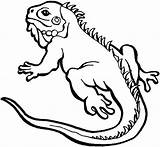 Coloring Lizard Pages Iguana Kids Frilled Print Color Cute Reptiles Printable Lizards Getcolorings Baby Drawings Drawing Getdrawings Colouring Astonishing Monitor sketch template