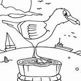 Kleurplaat Kleurplaten Vogel Seagull Meeuw Oiseau Dieren Animaatjes Colorir Mewarnai Coloriages Burung Animasi Malvorlagen Bergerak Fish Gify Kolorowanki Ptaki Hewan sketch template