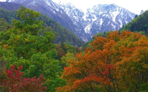 mountains japan forest nature autumn wallpapers hd desktop
