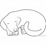 Dog Sleeping Pages Coloring Dogs Template sketch template