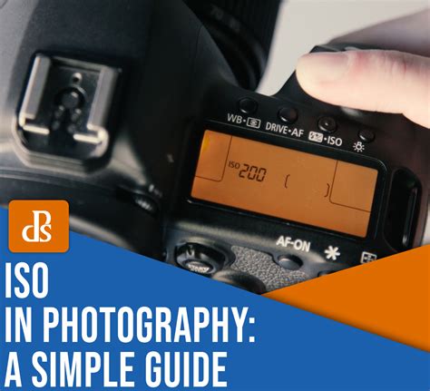 iso  simple guide  iso  photography