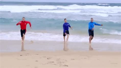 beach  funny gifs find share  giphy