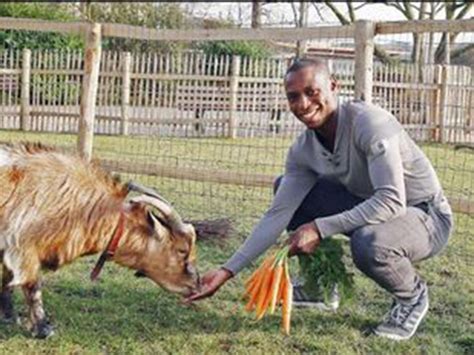 cologne forward anthony ujah apologises for goat