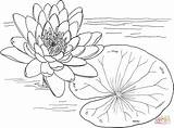 Monet Lilies sketch template