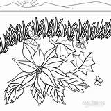 Coloring Poinsettia Pages Sheets Printable Kids Angels Cool2bkids Colouring sketch template