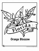 Florida Flower Coloring State Pages Printable Kids Orange Woo Jr Activities Woojr Adult Flag sketch template