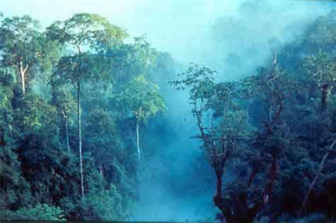 kaeng krachan national park phetburi national parks trip kaeng