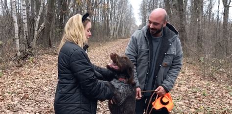 drone technology helps reunite dog   days lost  mcmillan marsh onfocus