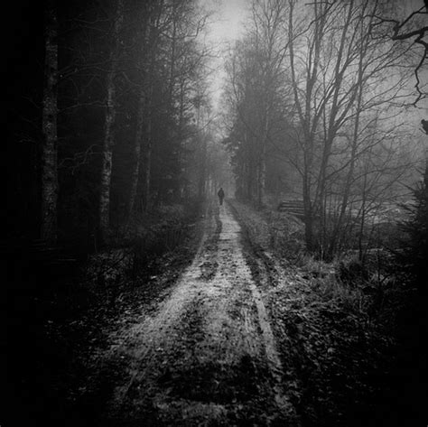 black and white forest monochrome path solitude