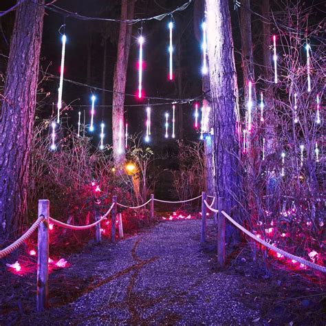 sherwood forest christmas lights decoratingspecialcom