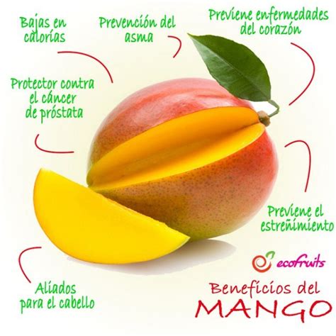 ecofruits el mango es una de esas frutas  parte carnosa
