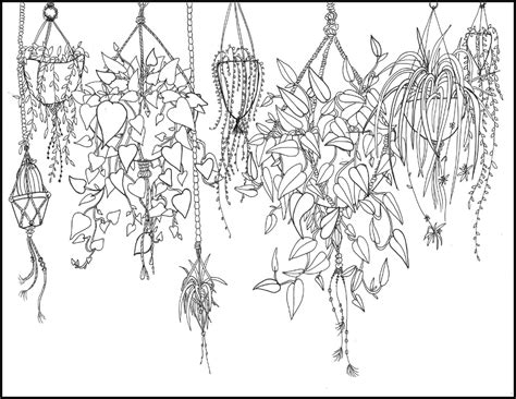 printable coloring page hanging plants etsy coloring pages