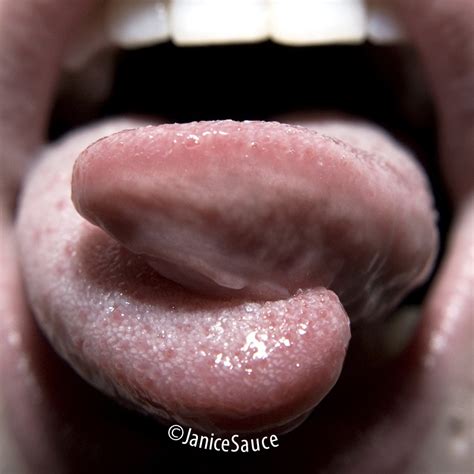 split tongue explore mar     tongue bifurcati flickr