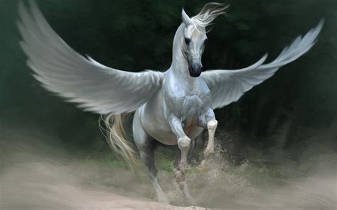 white pegasus pegasus artwork fantasy art horse hd wallpaper