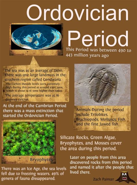 ordovician period  pinterest continents food webs  university