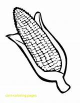 Corn Coloring Cob Pages Printable Getcolorings sketch template