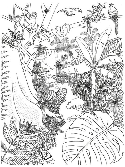coloring pages jungle jungle coloring pages  kids coloring
