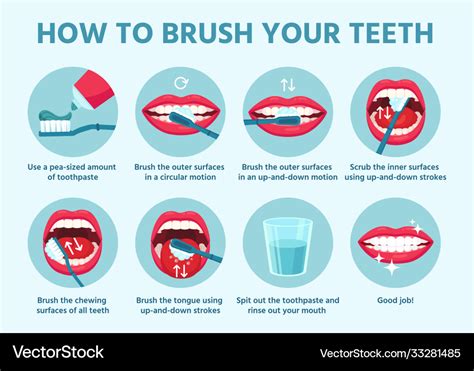 brush teeth oral hygiene correct tooth vector image