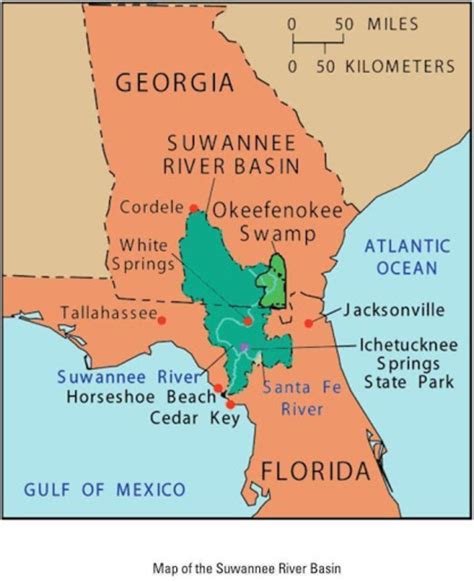 okefenokee swamp  special place hubpages