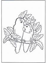 Loros Pareja Papagei Pappagalli Papegaai Coppia Verliebt Amoureux Perroquet Stelletje Papuga Zakochana Perroquets Verliefd Parrot Uccelli Paerchen Valentin Kleurplaten Fargelegg sketch template