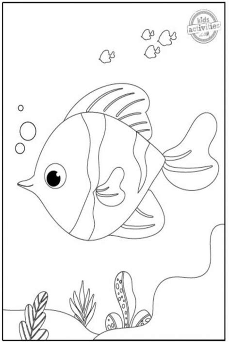 coloring page   image   fish   water   seaweed